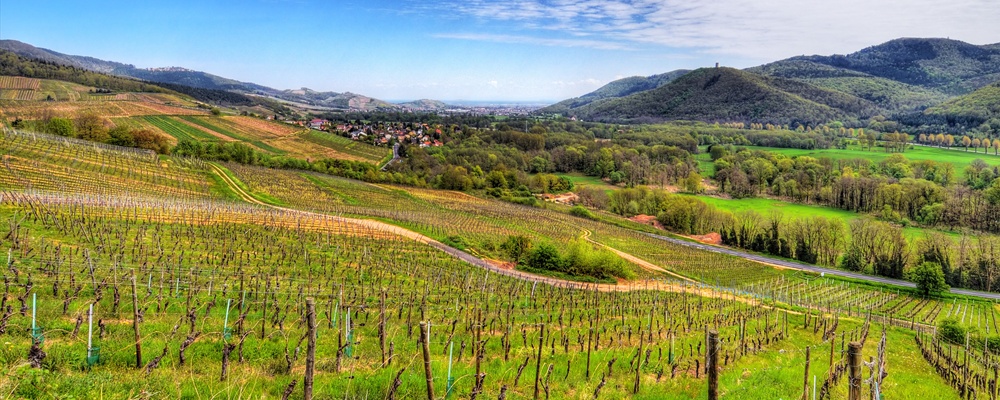 View of the Valley of Munster